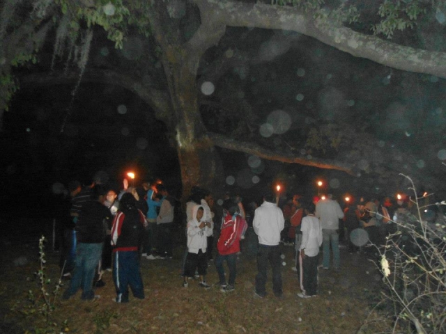 Camino al arbol